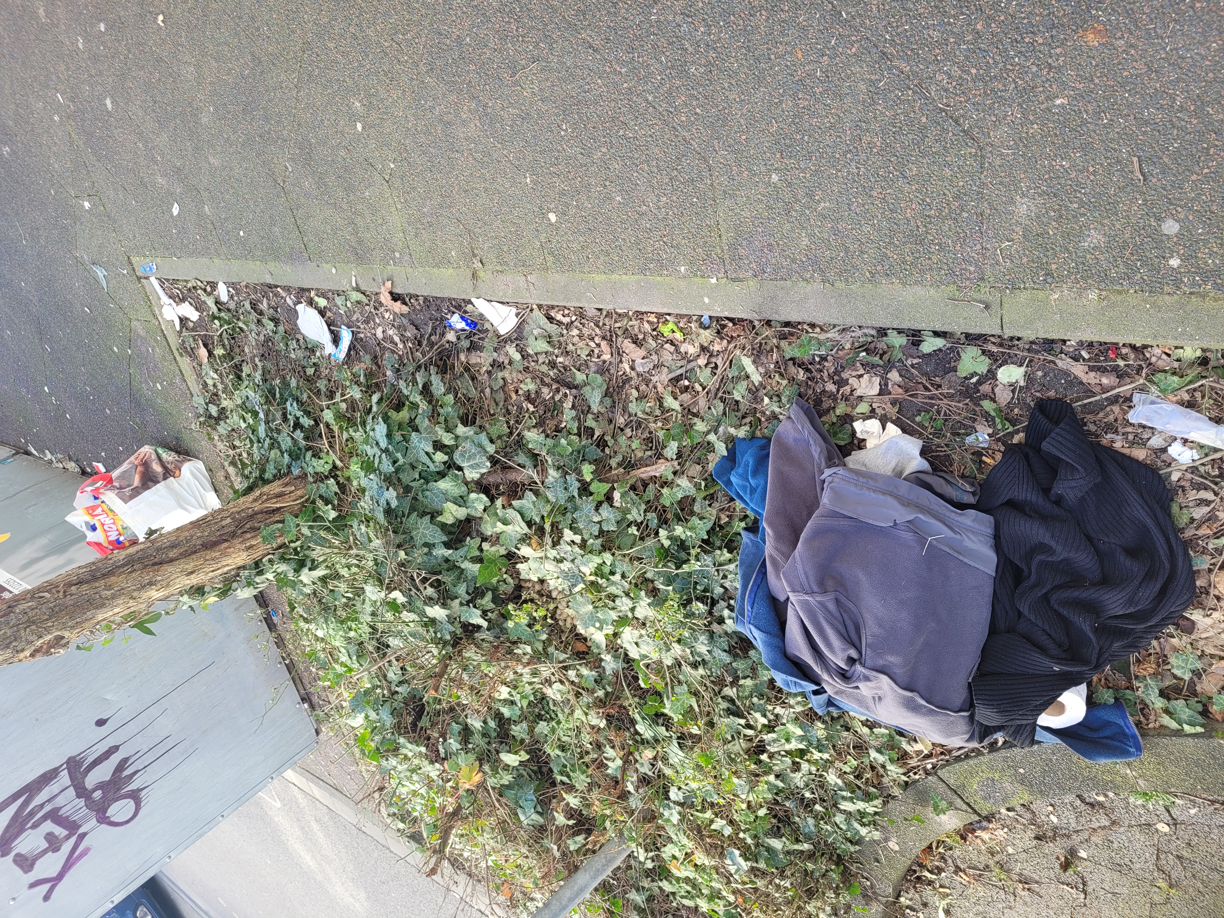 Open311 file from 2025-03-08 12:02:29