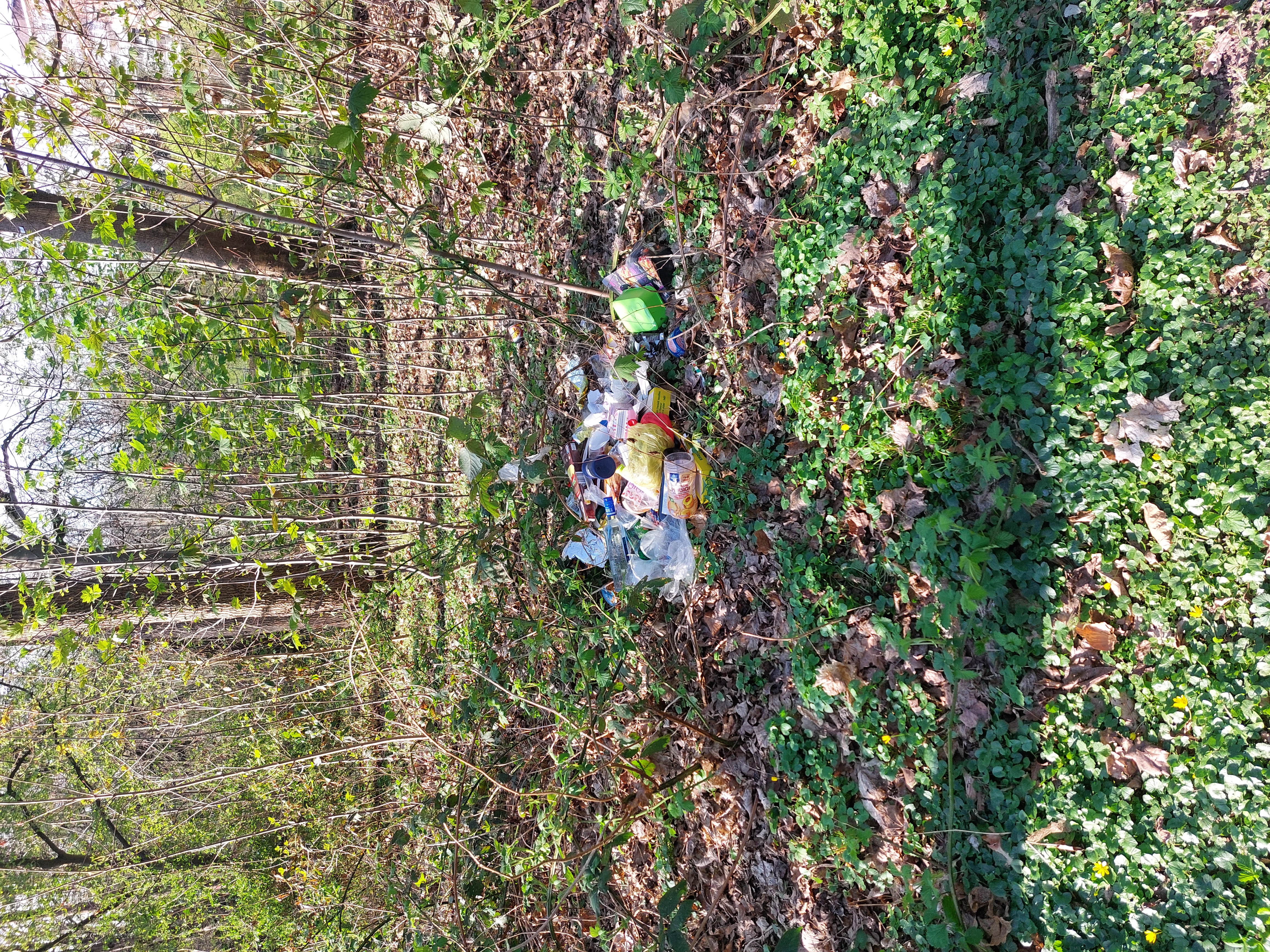 Illegal entsorgter Müllhaufen: 2025-04-03