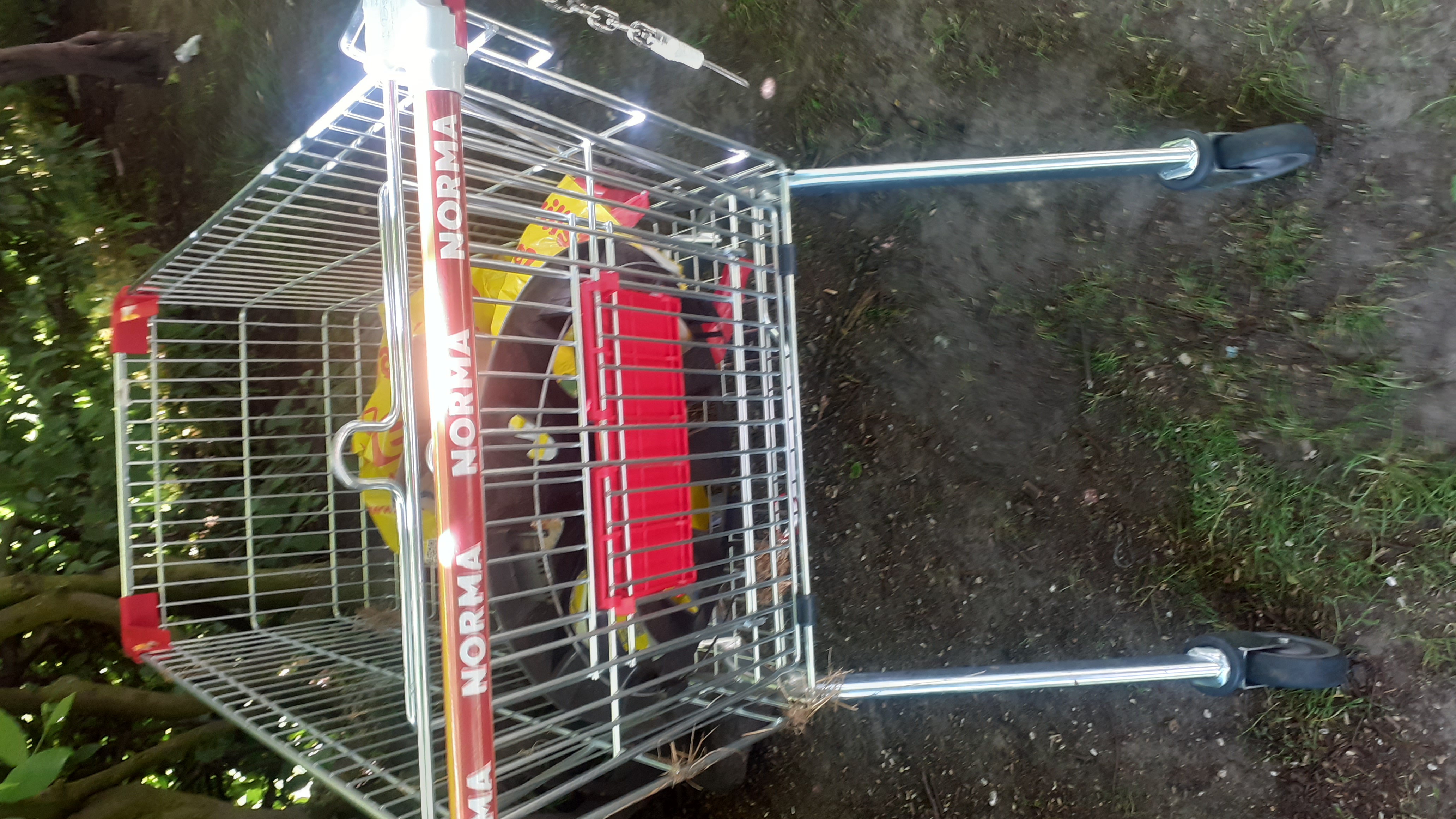 Open311 file from 2025-05-13 13:34:16