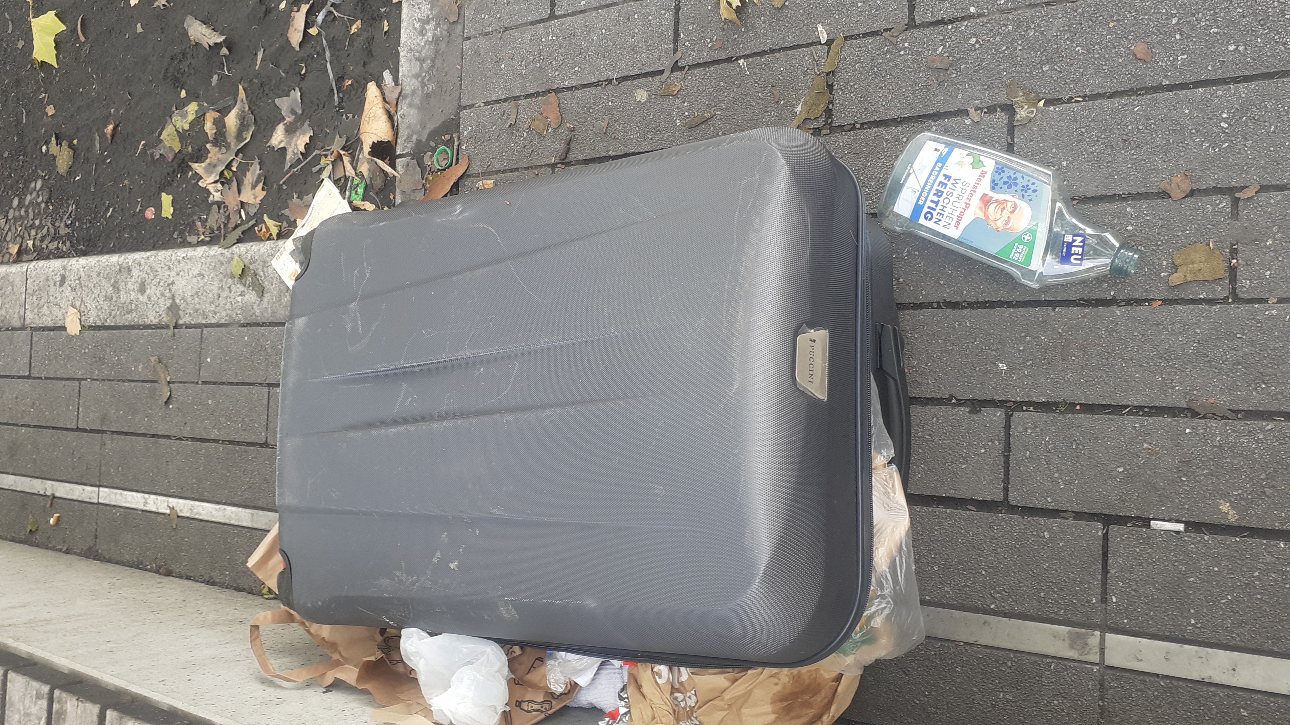 Open311 file from 2025-08-04 11:57:01