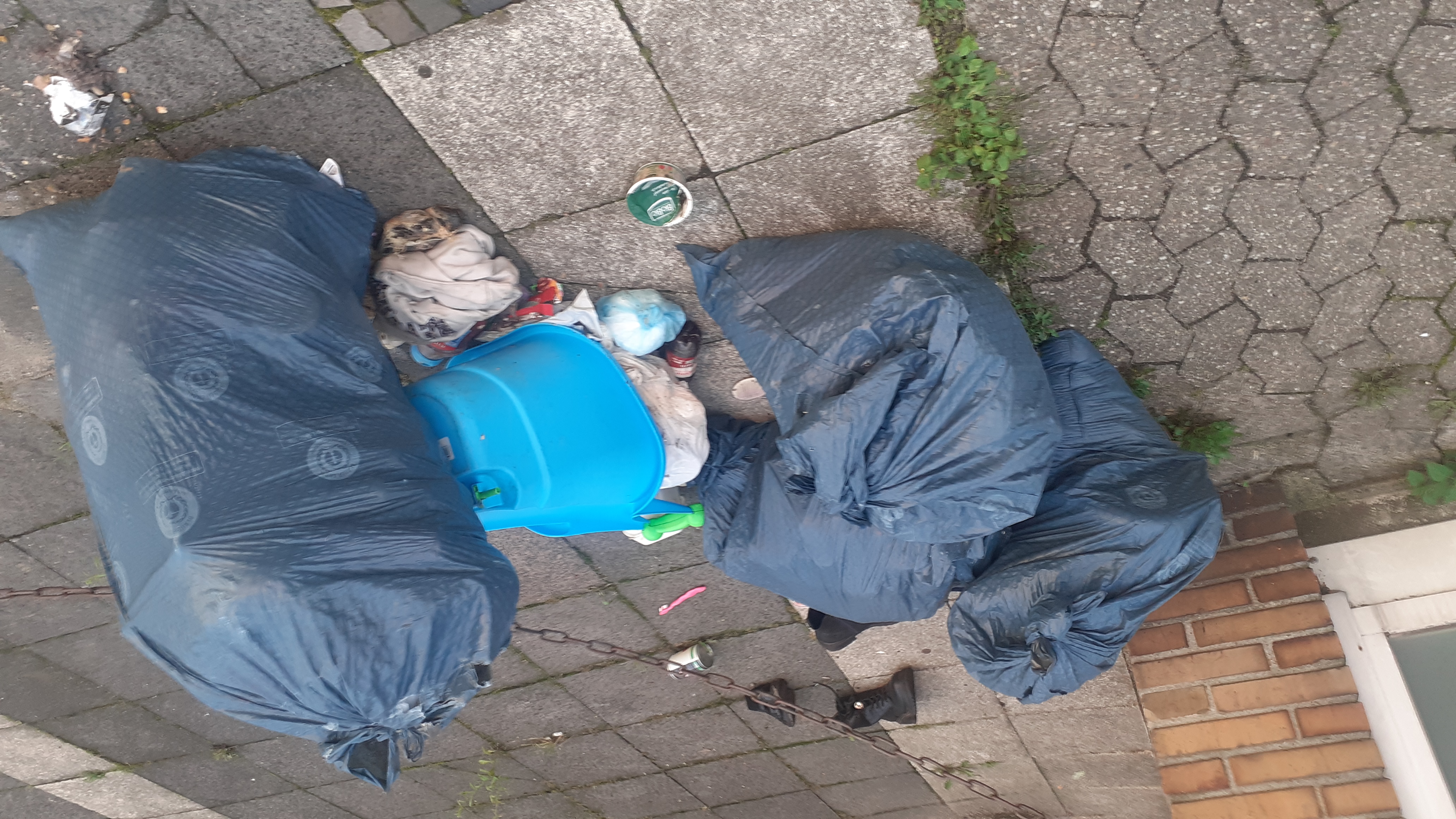 Open311 file from 2025-08-06 07:14:45