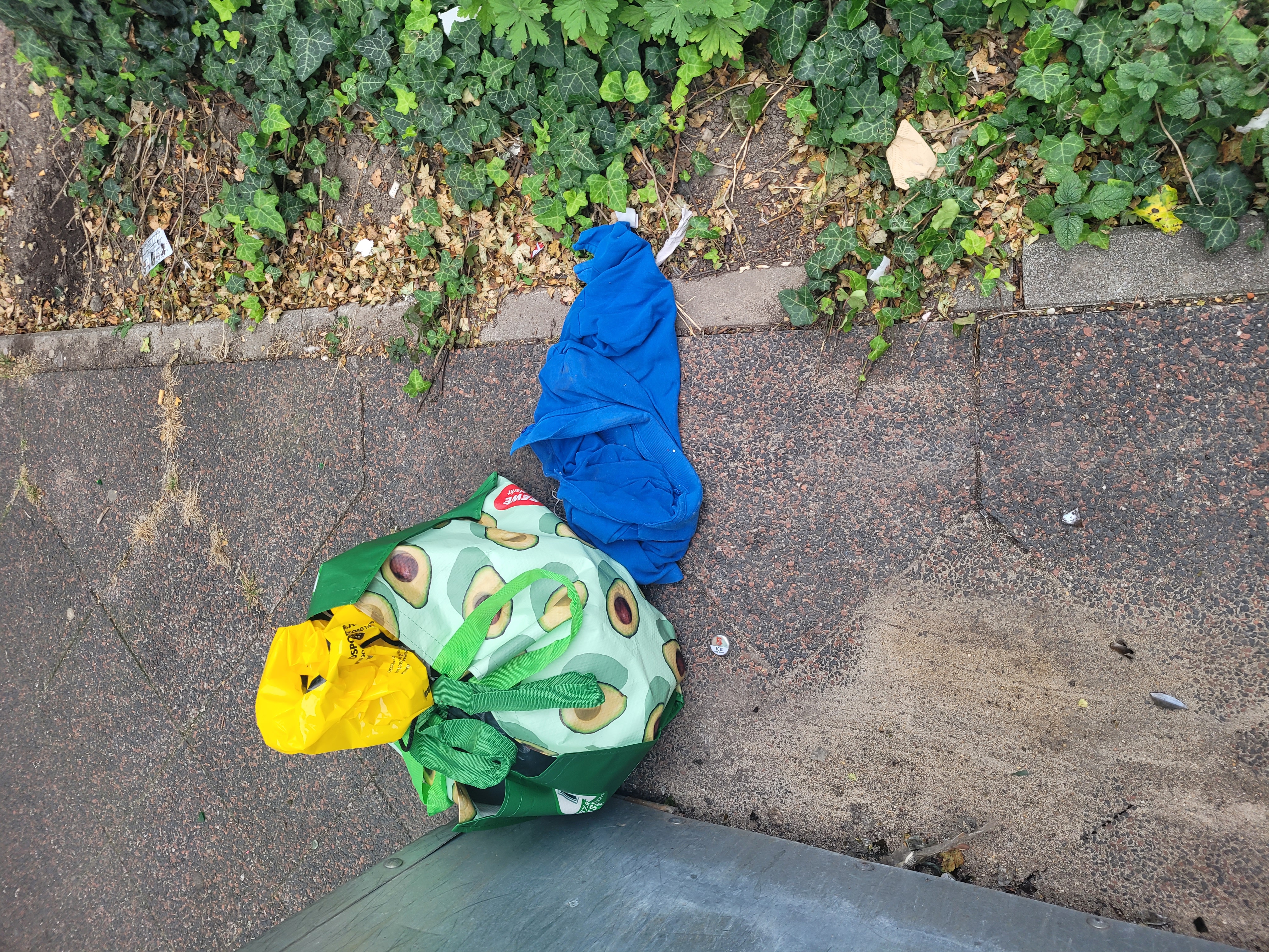 Open311 file from 2025-08-22 19:06:03