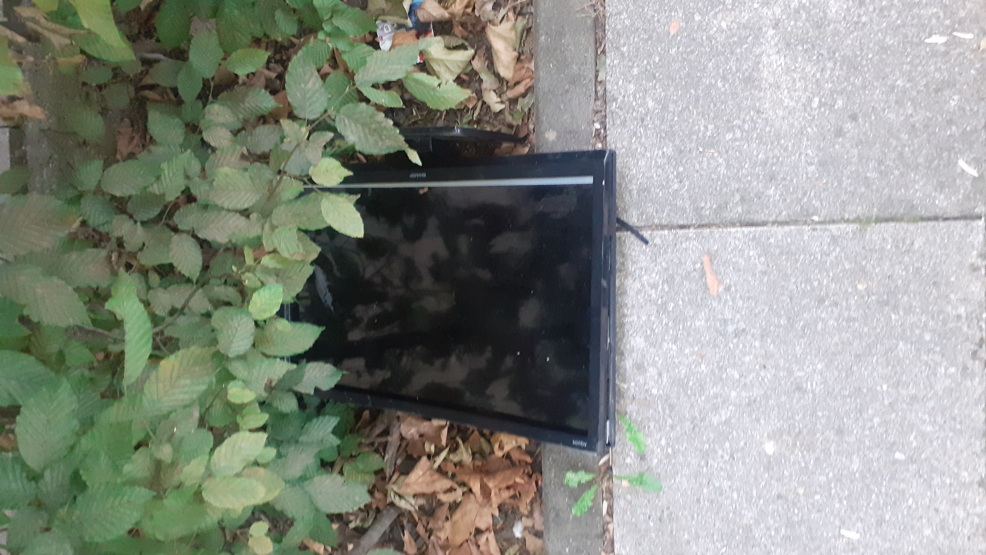 Open311 file from 2025-08-26 07:26:55