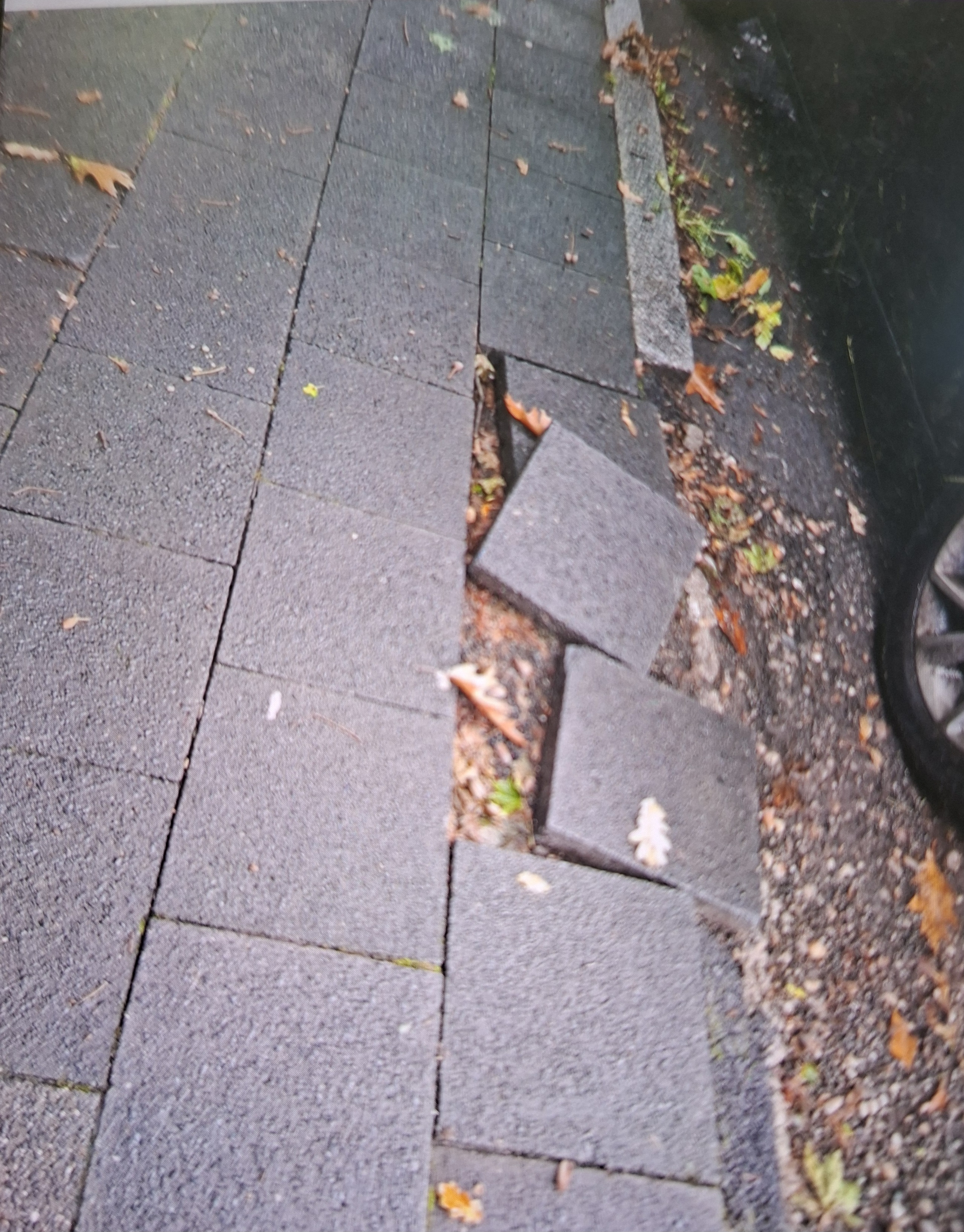 Open311 file from 2025-09-09 14:14:39