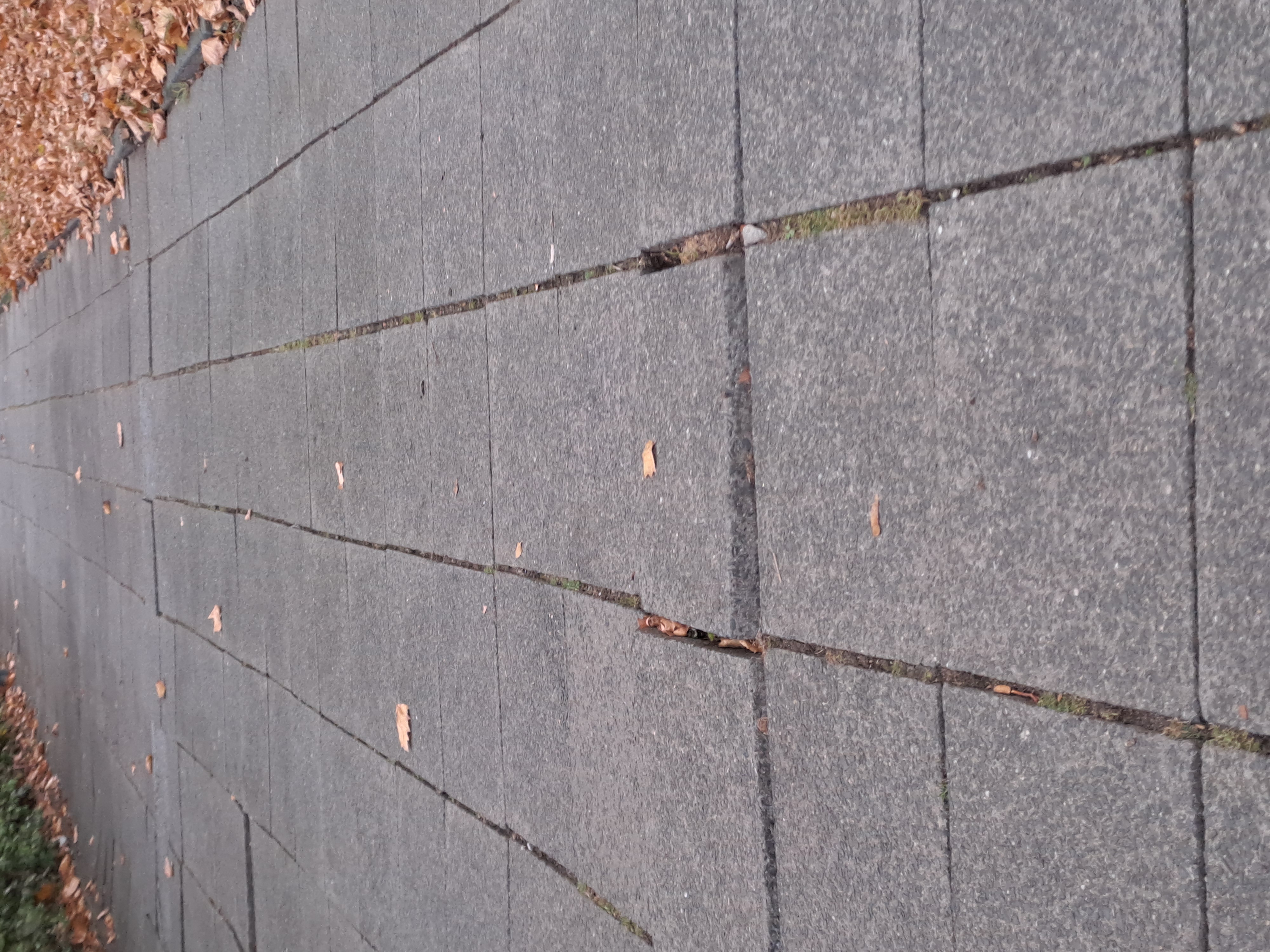 Open311 file from 2025-09-12 16:59:33