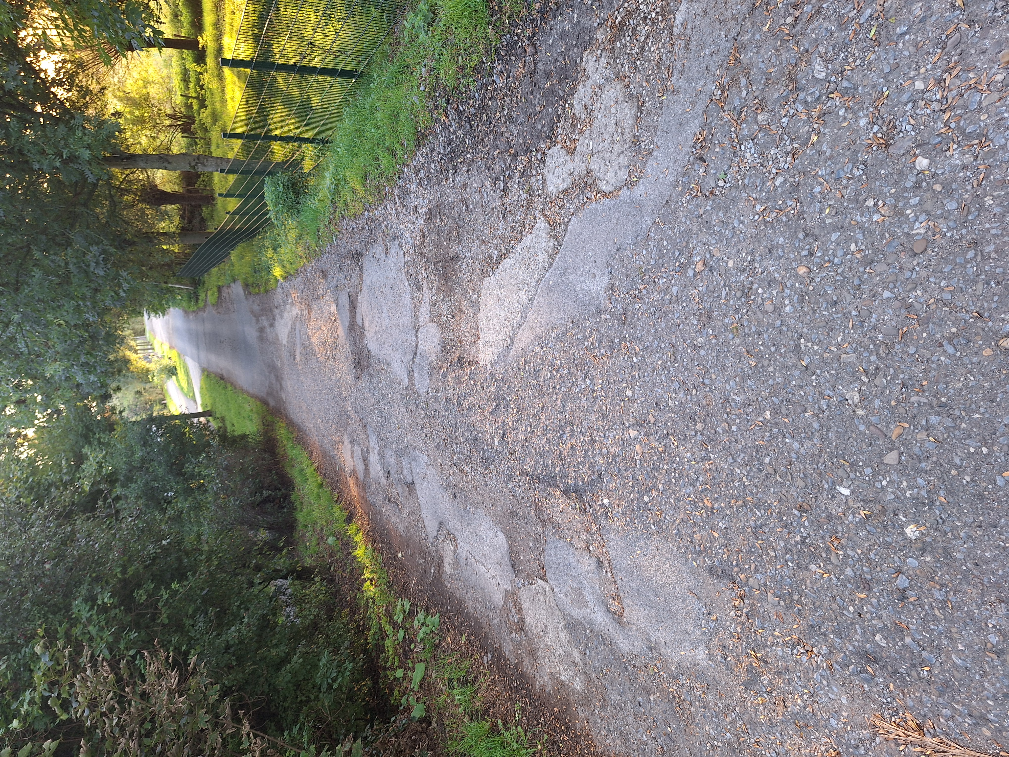 Open311 file from 2025-09-17 07:41:51