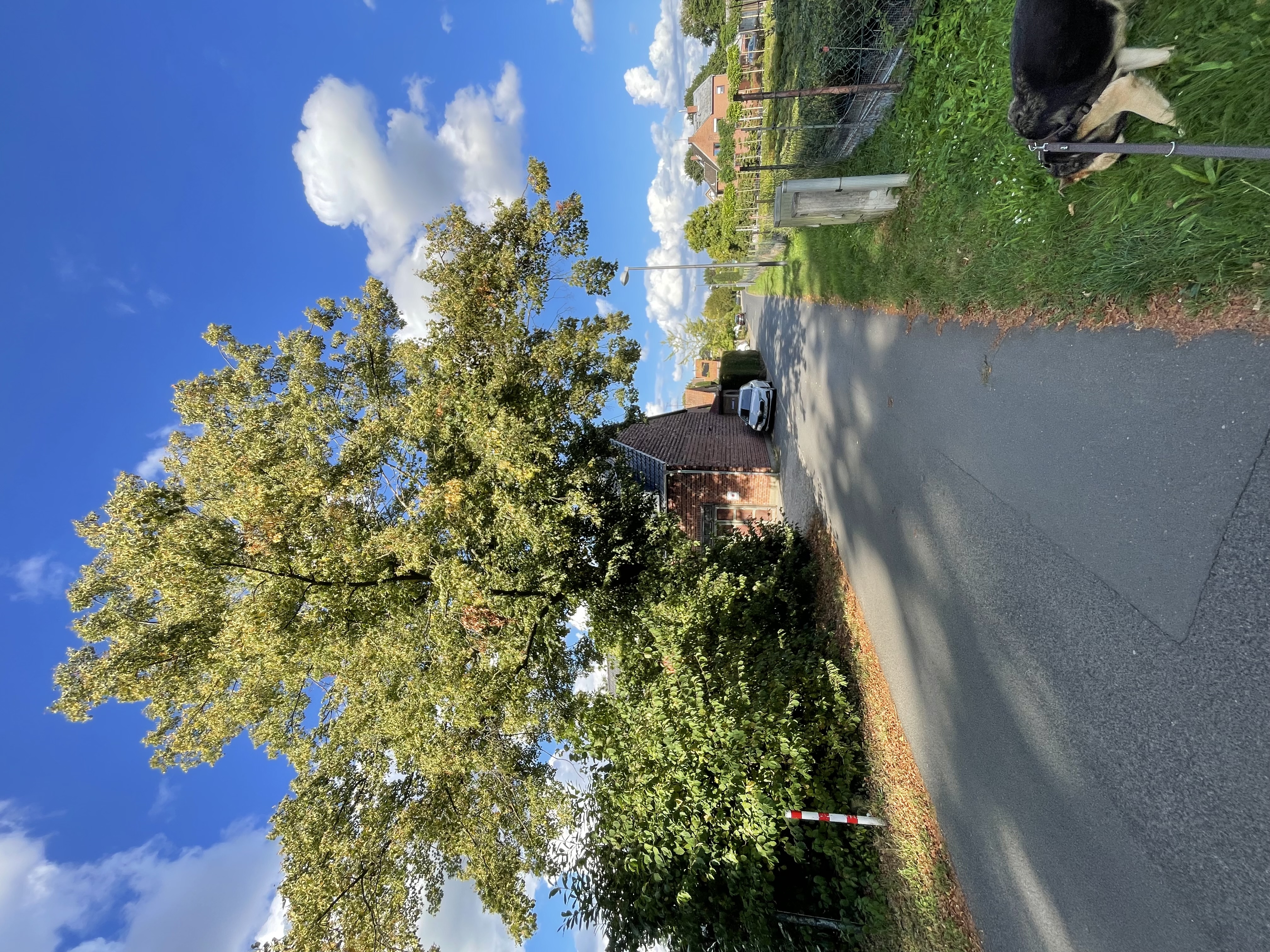 Open311 file from 2025-09-04 09:59:15