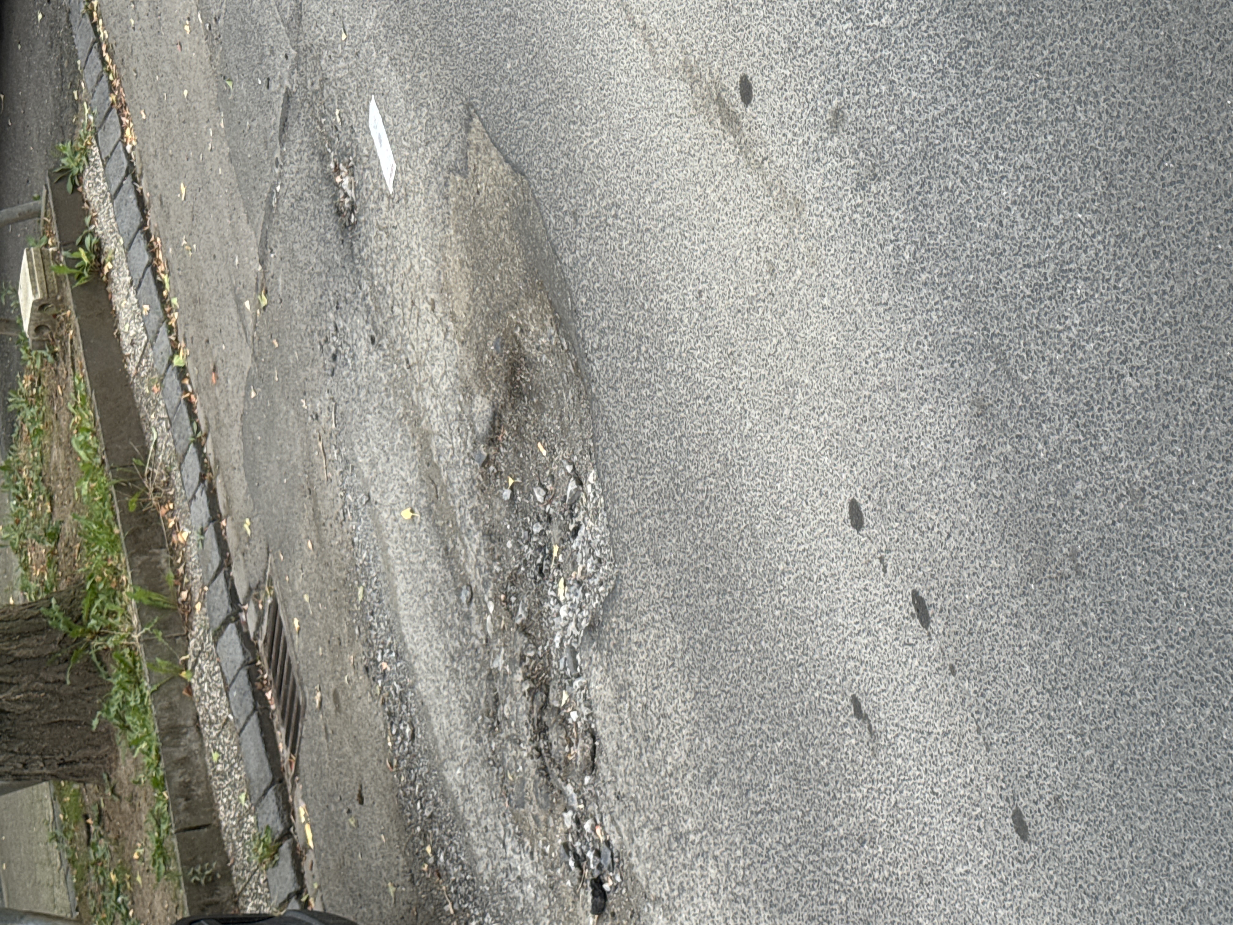 Open311 file from 2025-09-27 15:22:10