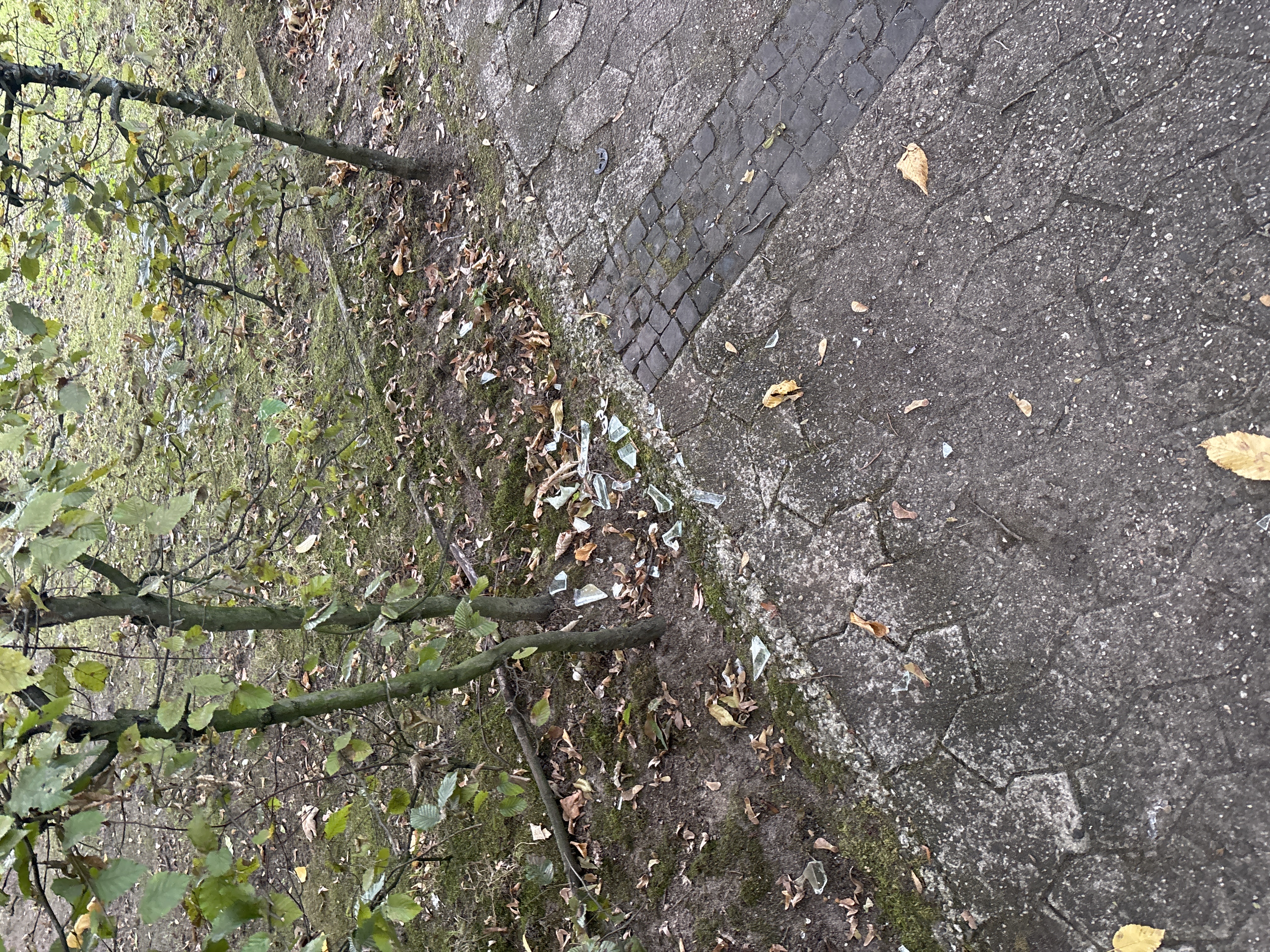 Open311 file from 2025-09-28 17:22:14