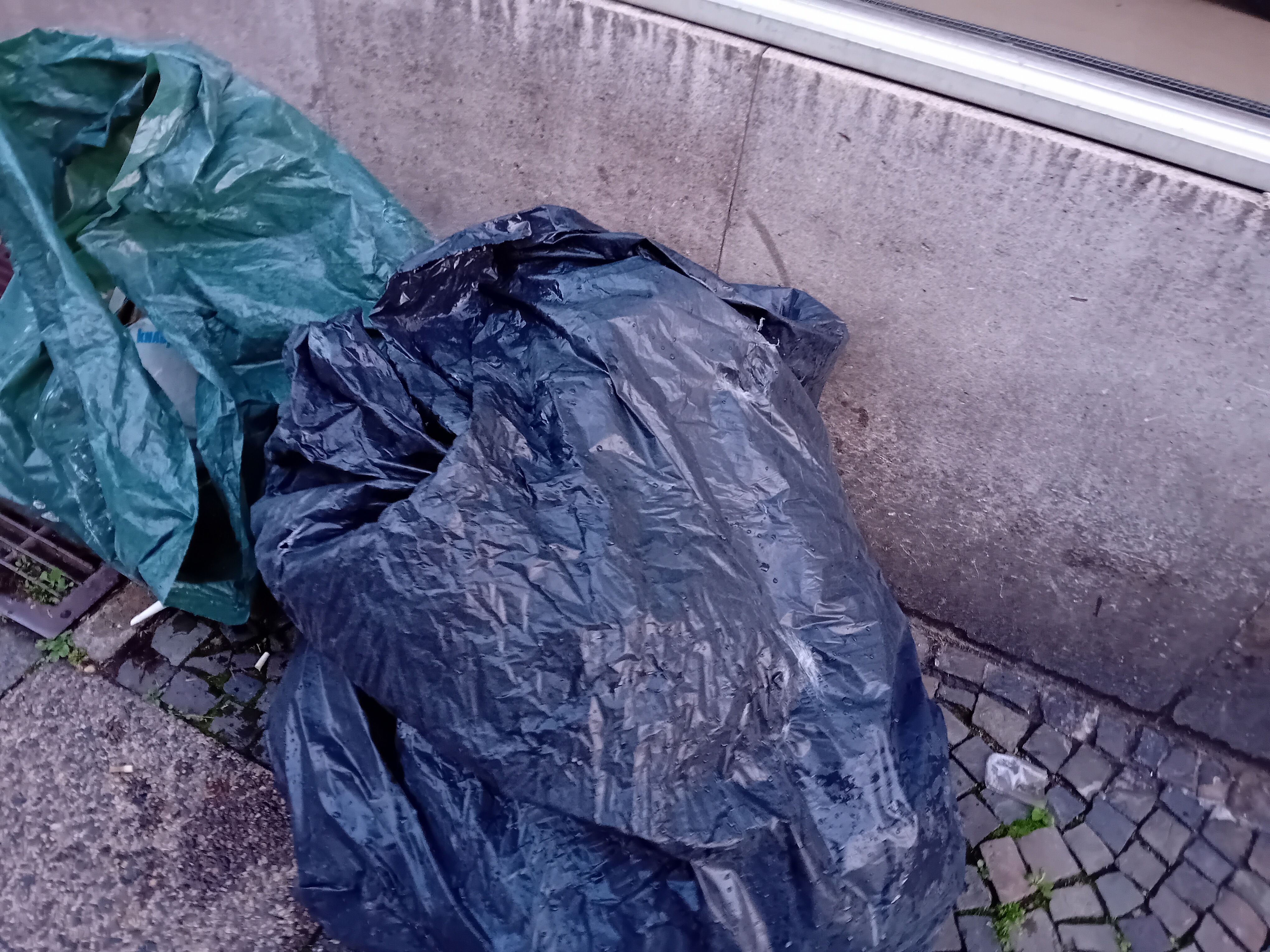 Open311 file from 2025-11-20 08:00:36