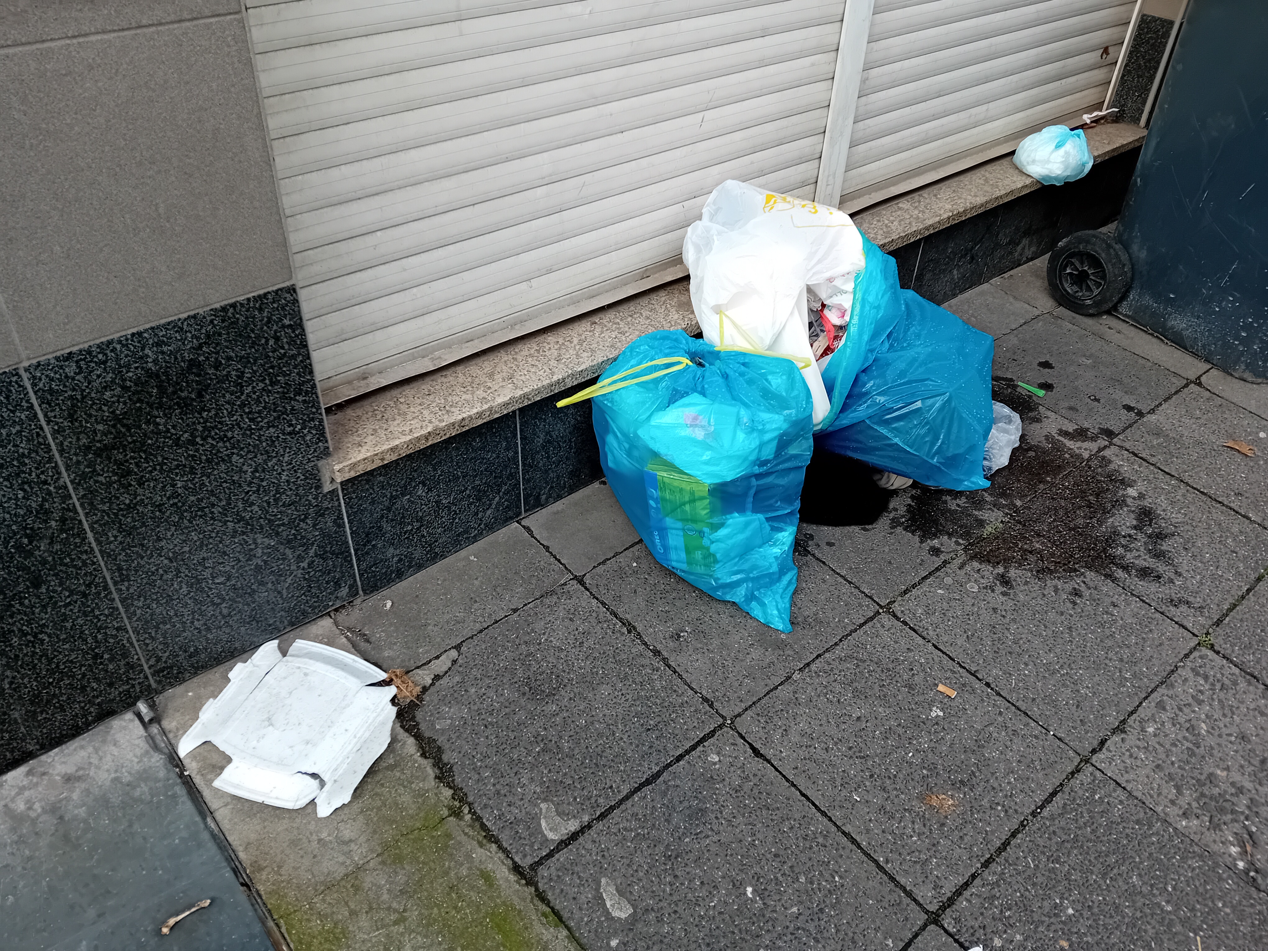 Open311 file from 2025-11-20 11:41:57