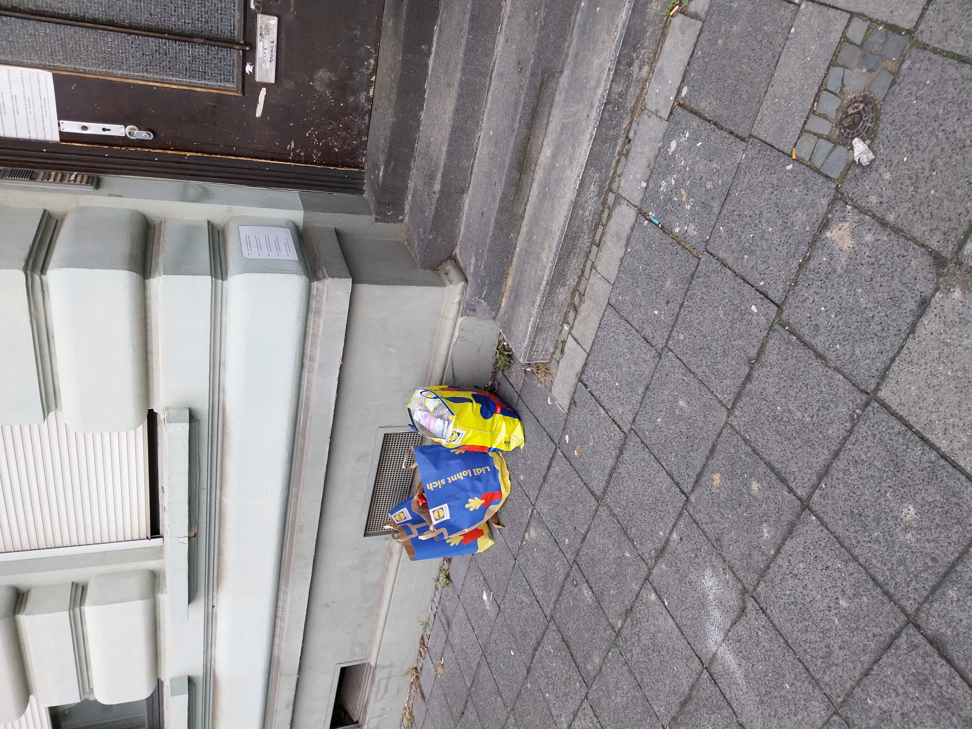 Open311 file from 2025-11-24 08:42:40