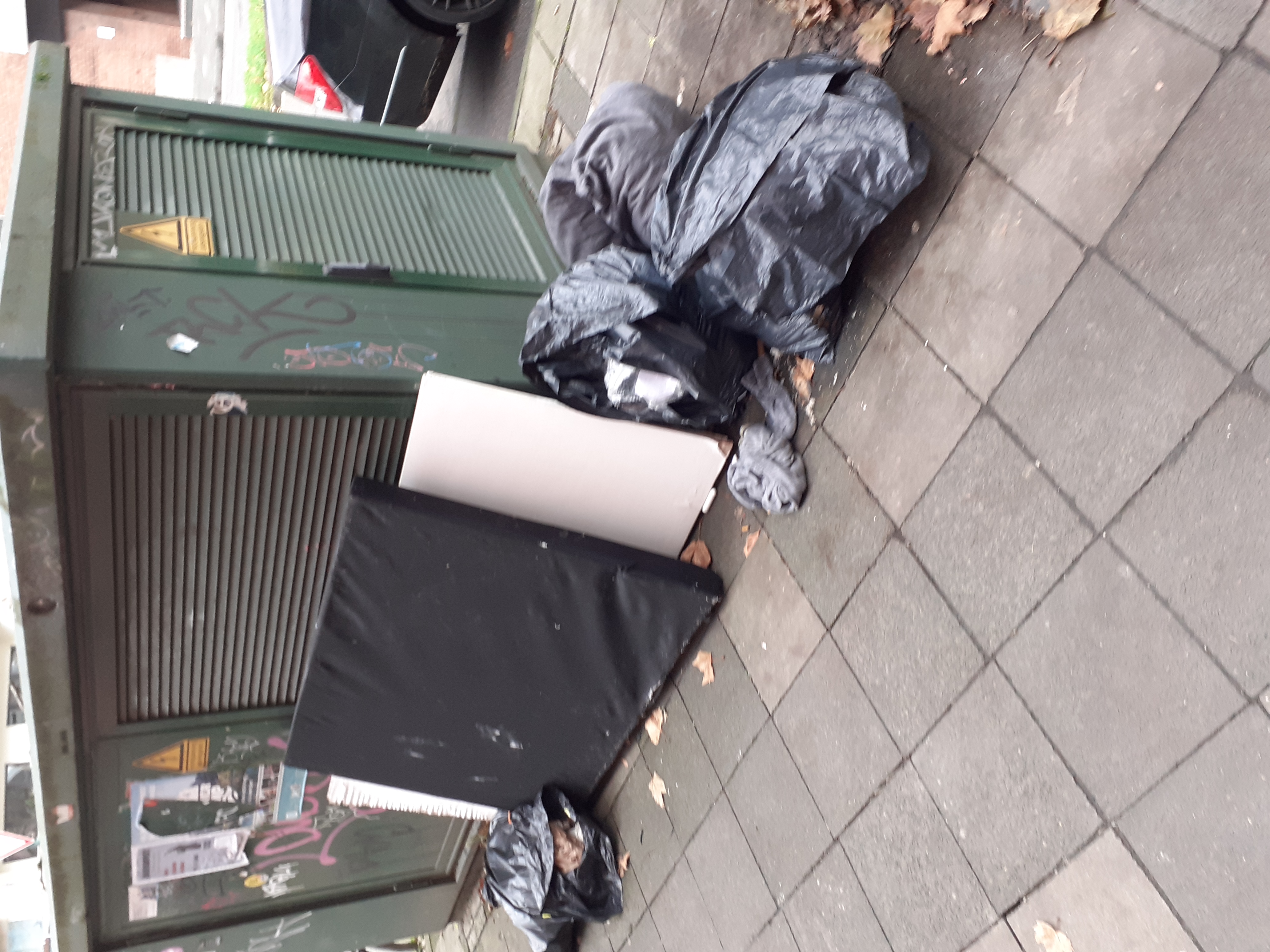 Open311 file from 2025-11-26 12:31:15