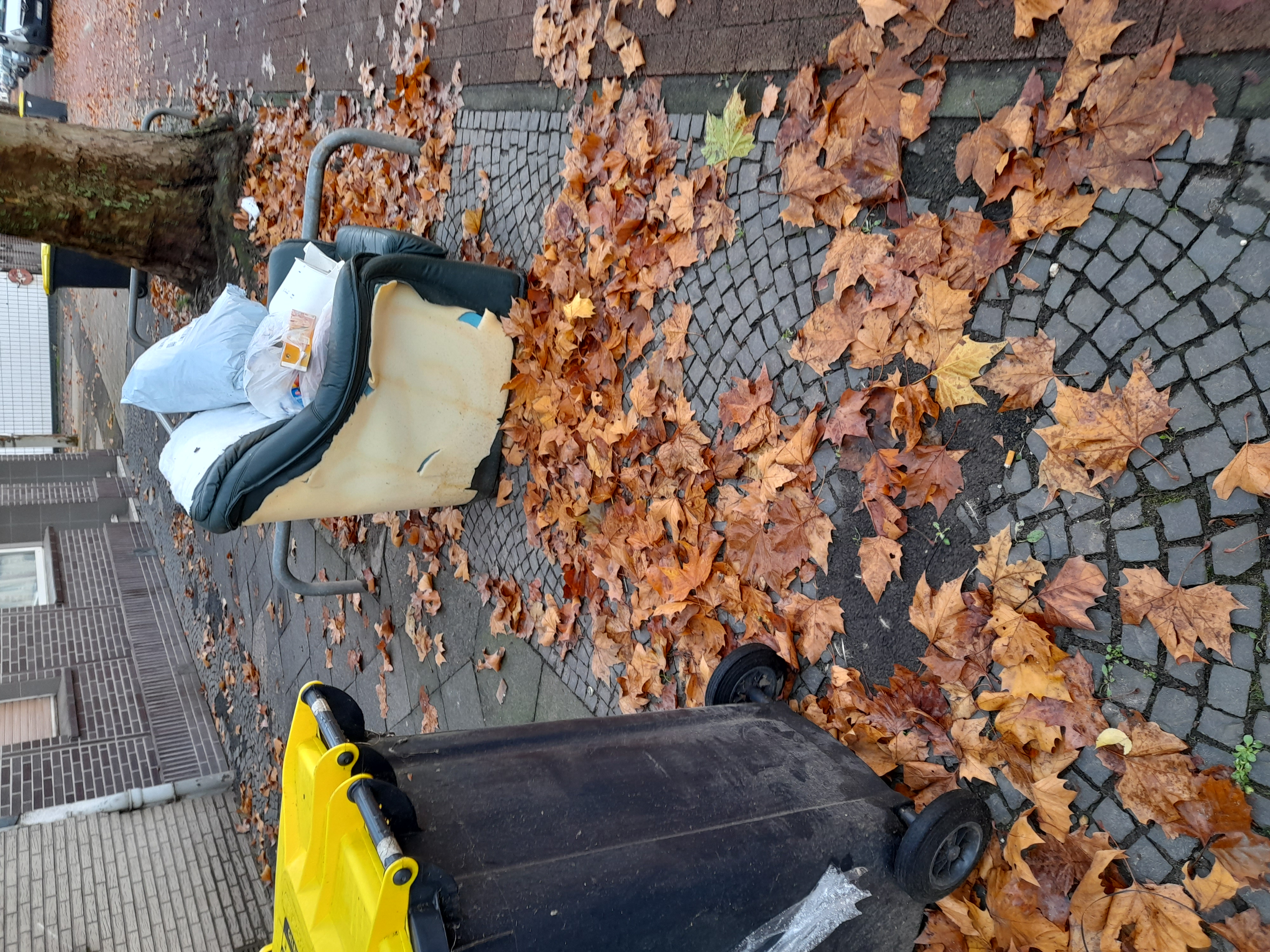 Open311 file from 2025-11-20 09:15:54