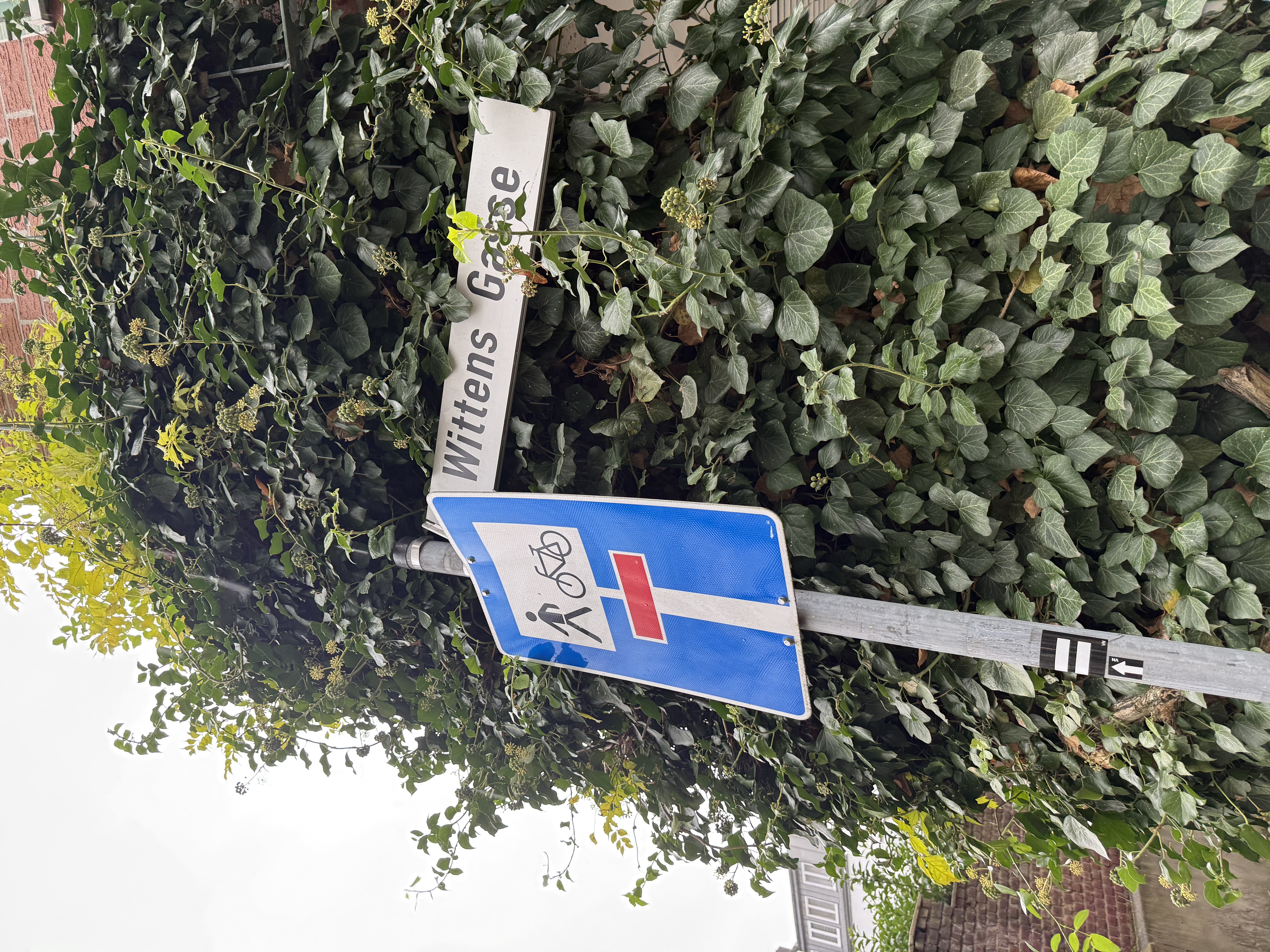 Open311 file from 2025-11-01 14:29:41