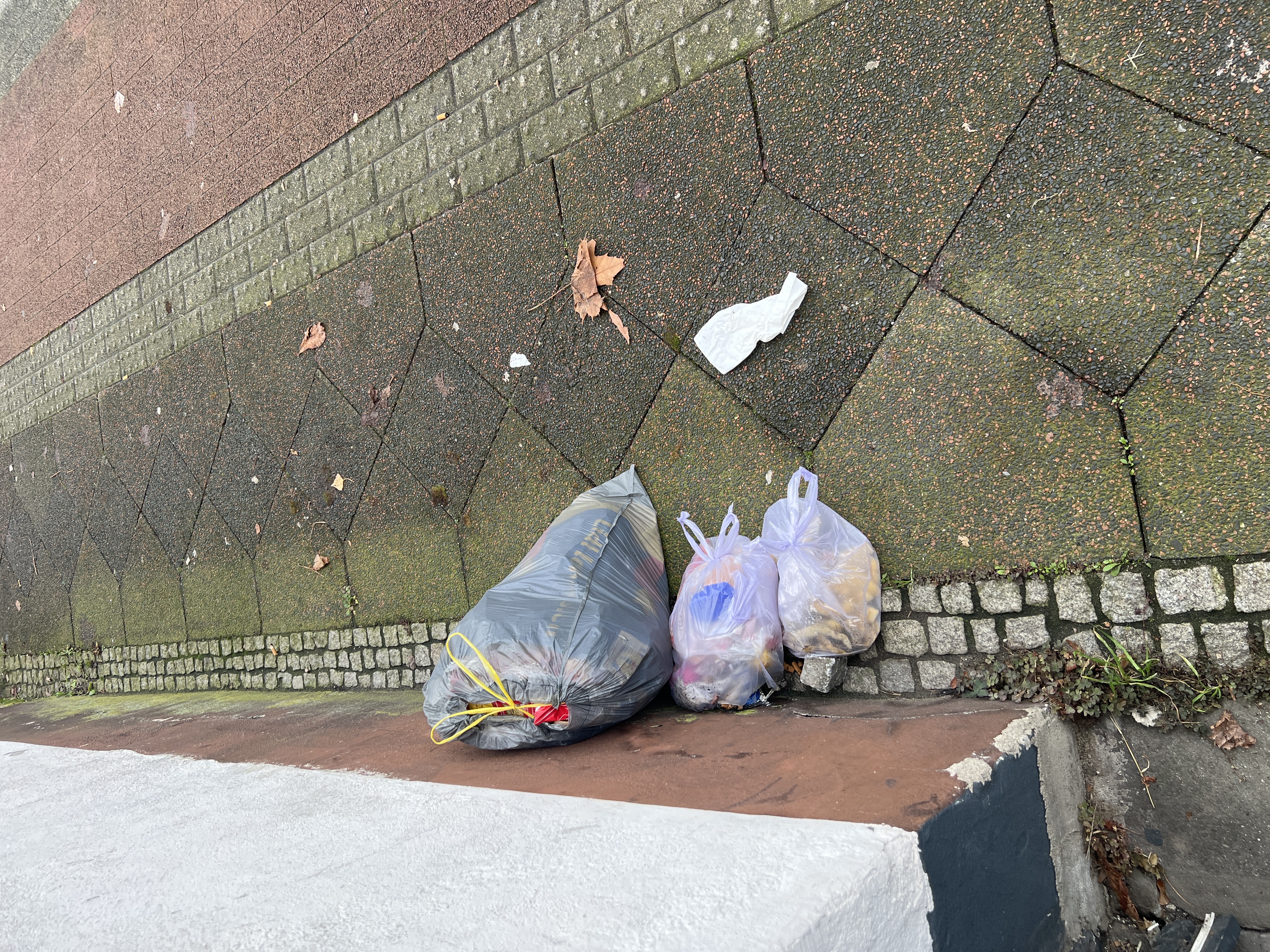 Open311 file from 2025-12-10 14:34:23