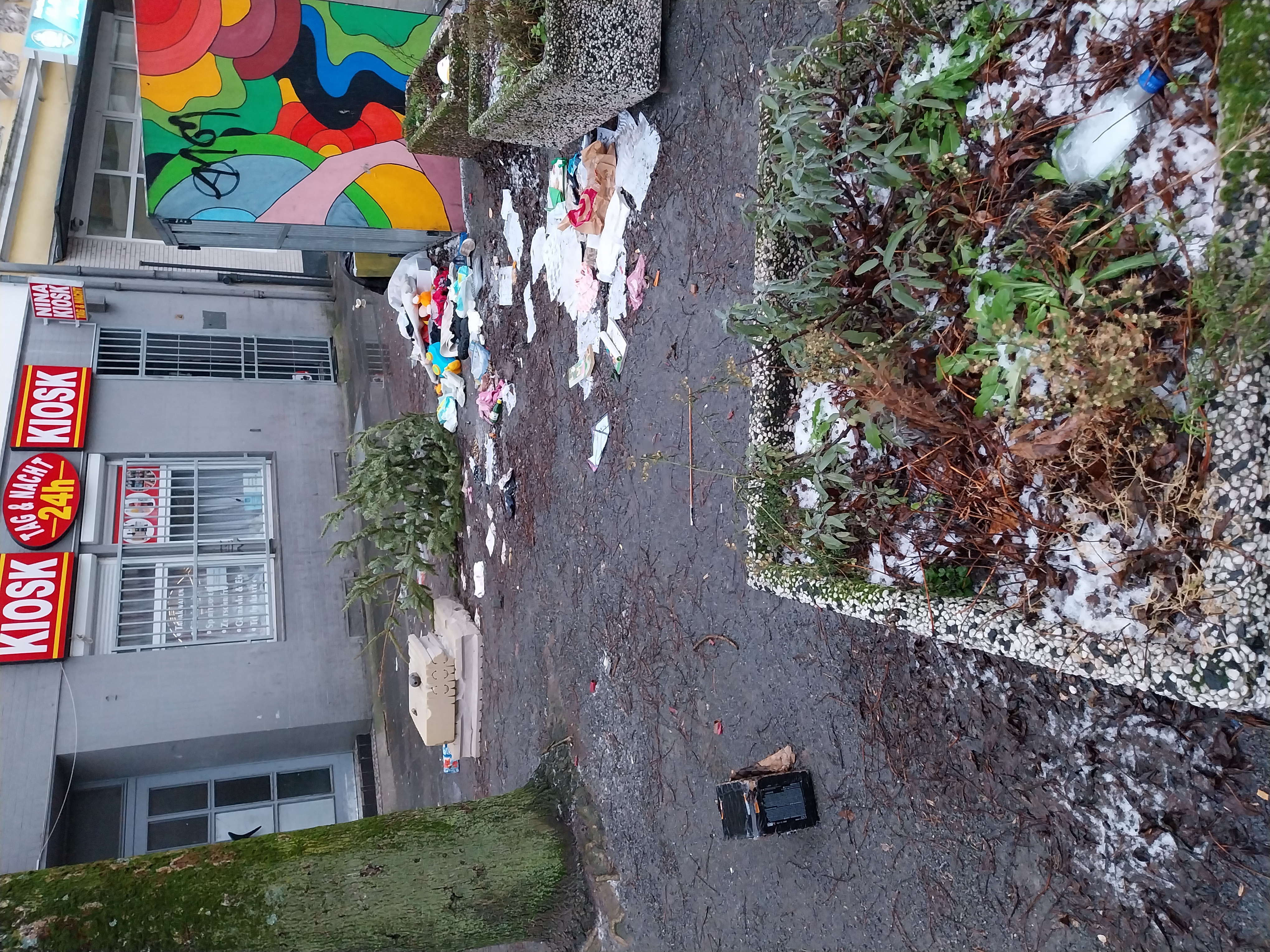 Open311 file from 2026-01-12 09:31:55