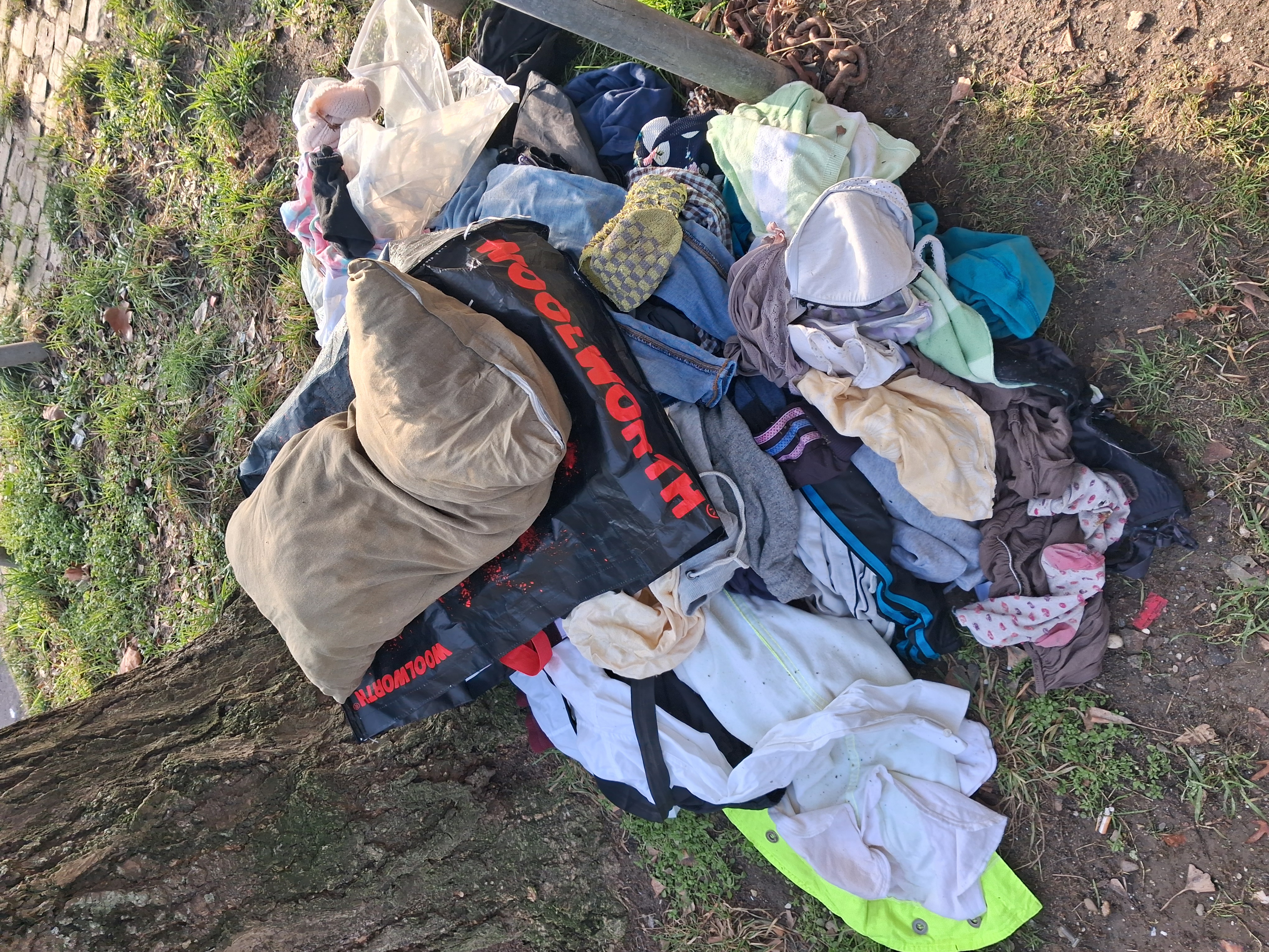 Open311 file from 2026-01-20 11:32:21