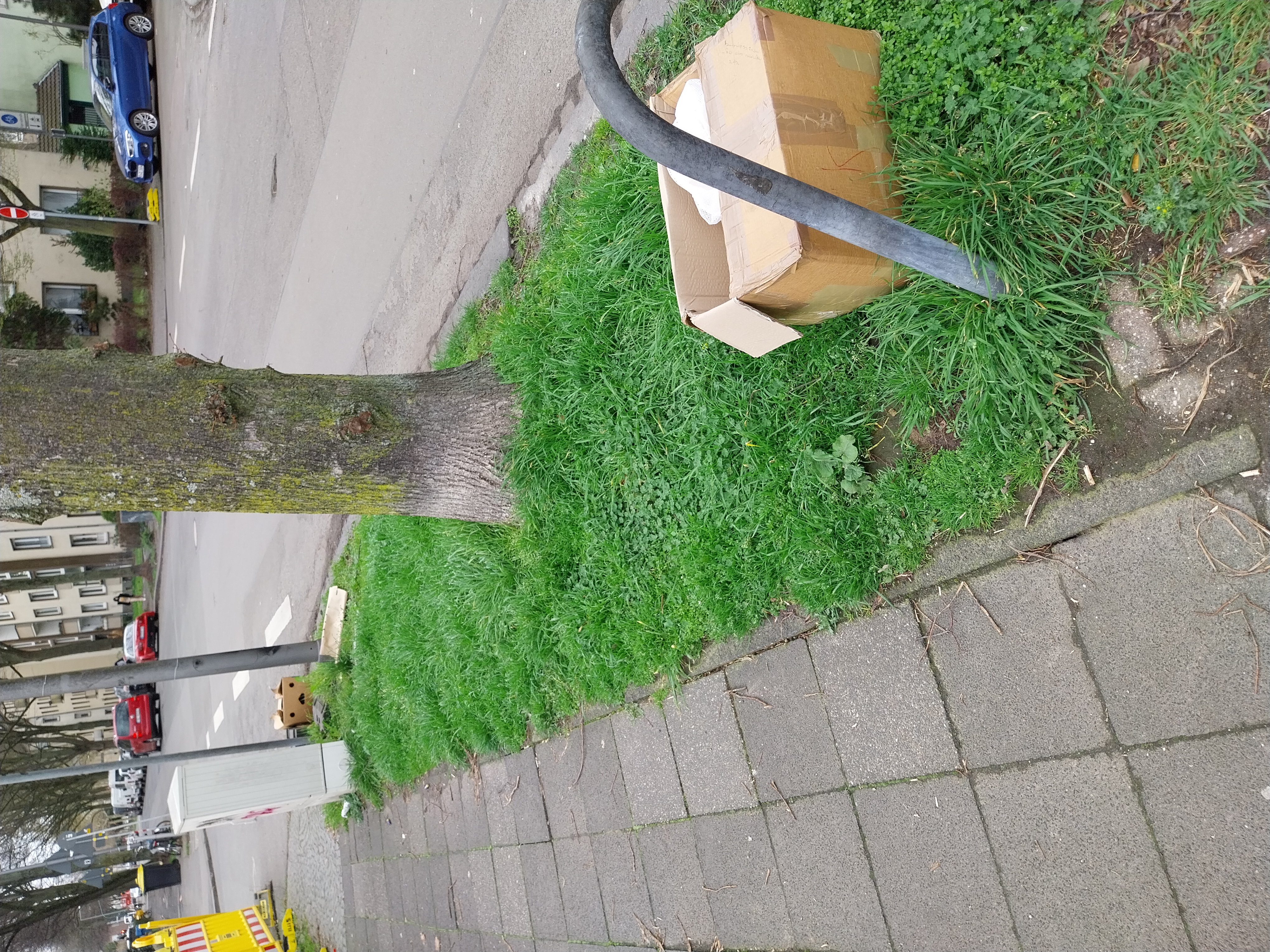 Open311 file from 2026-03-17 11:50:03