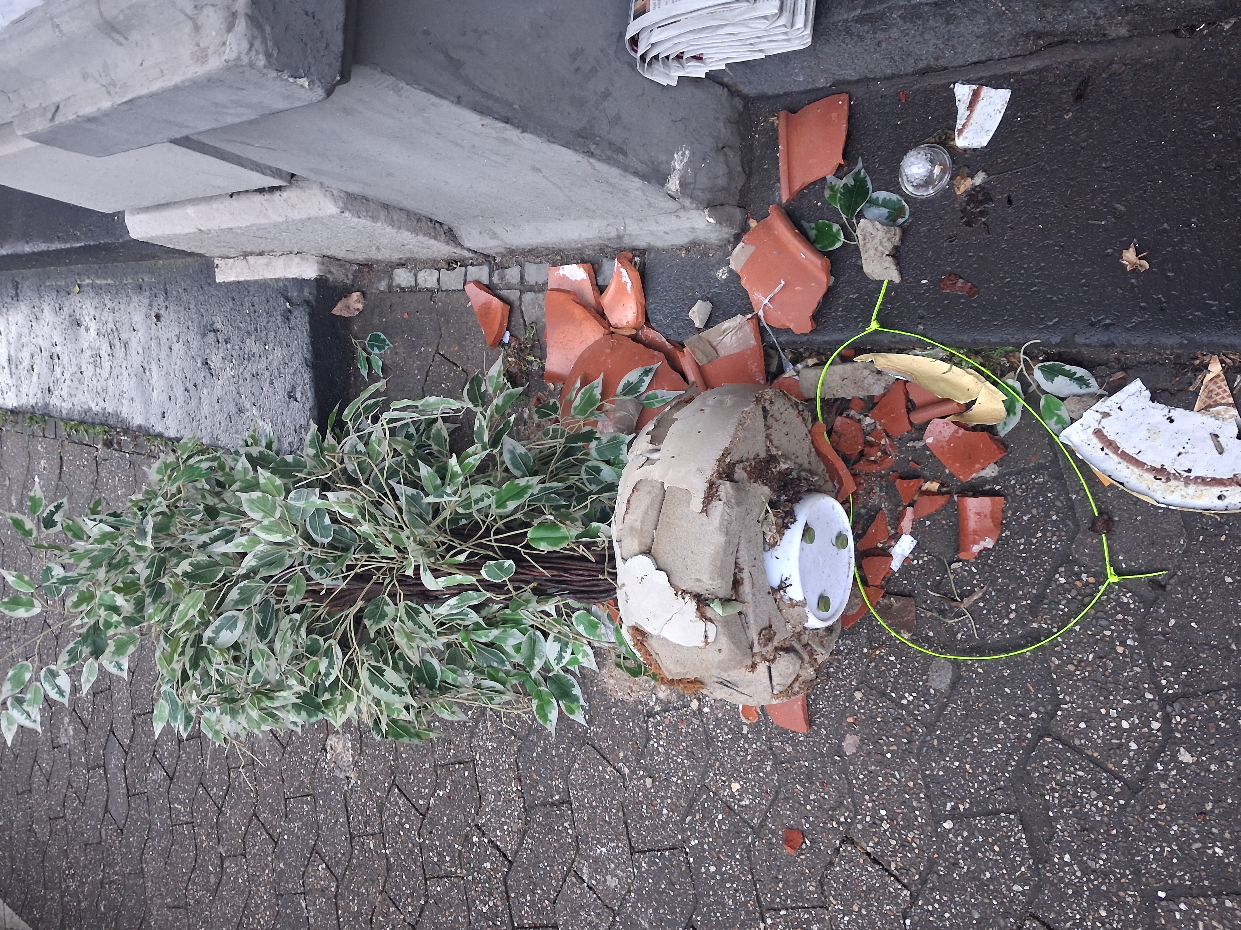 Open311 file from 2026-03-30 08:52:55