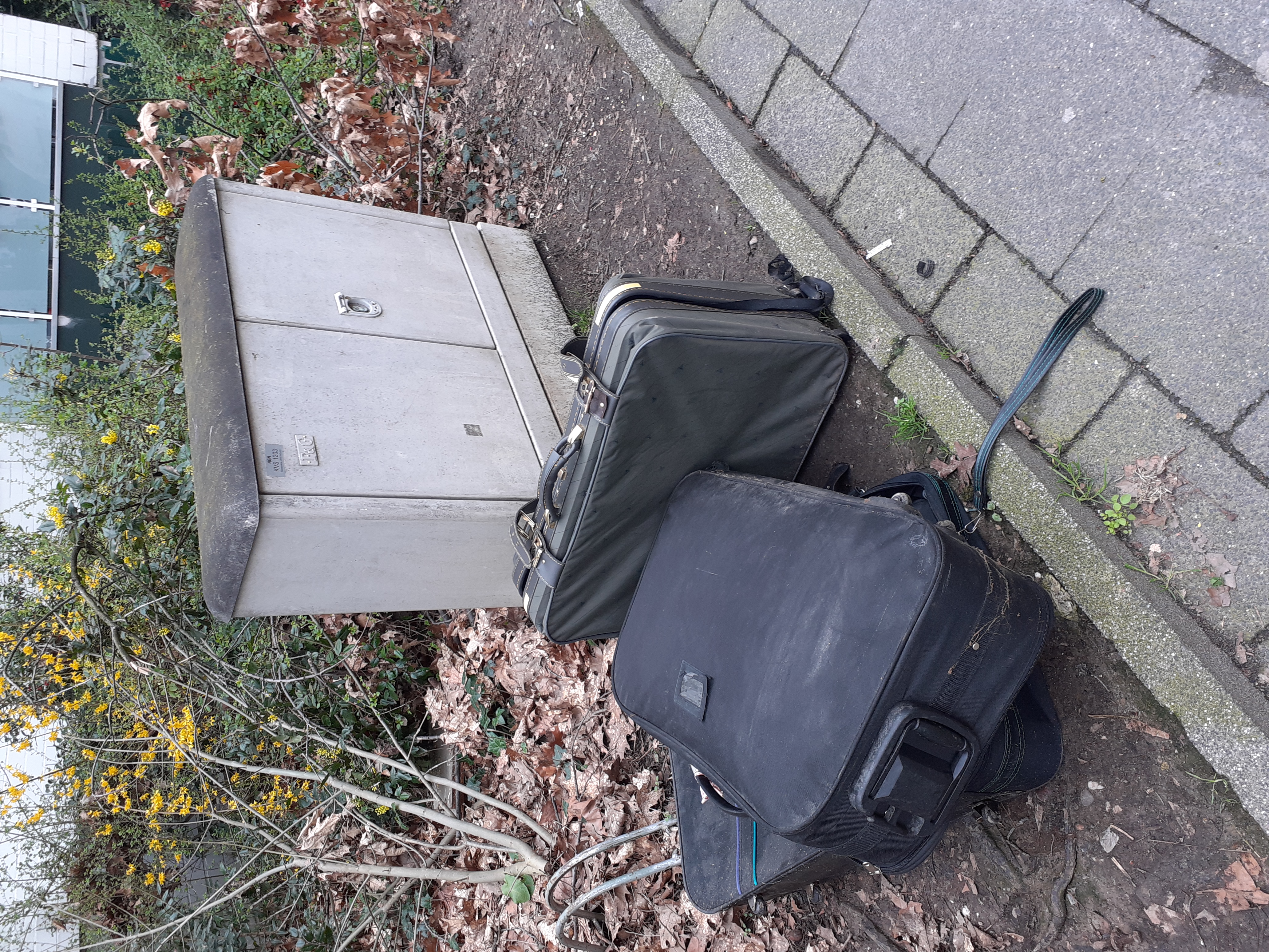 Open311 file from 2026-03-17 11:42:29