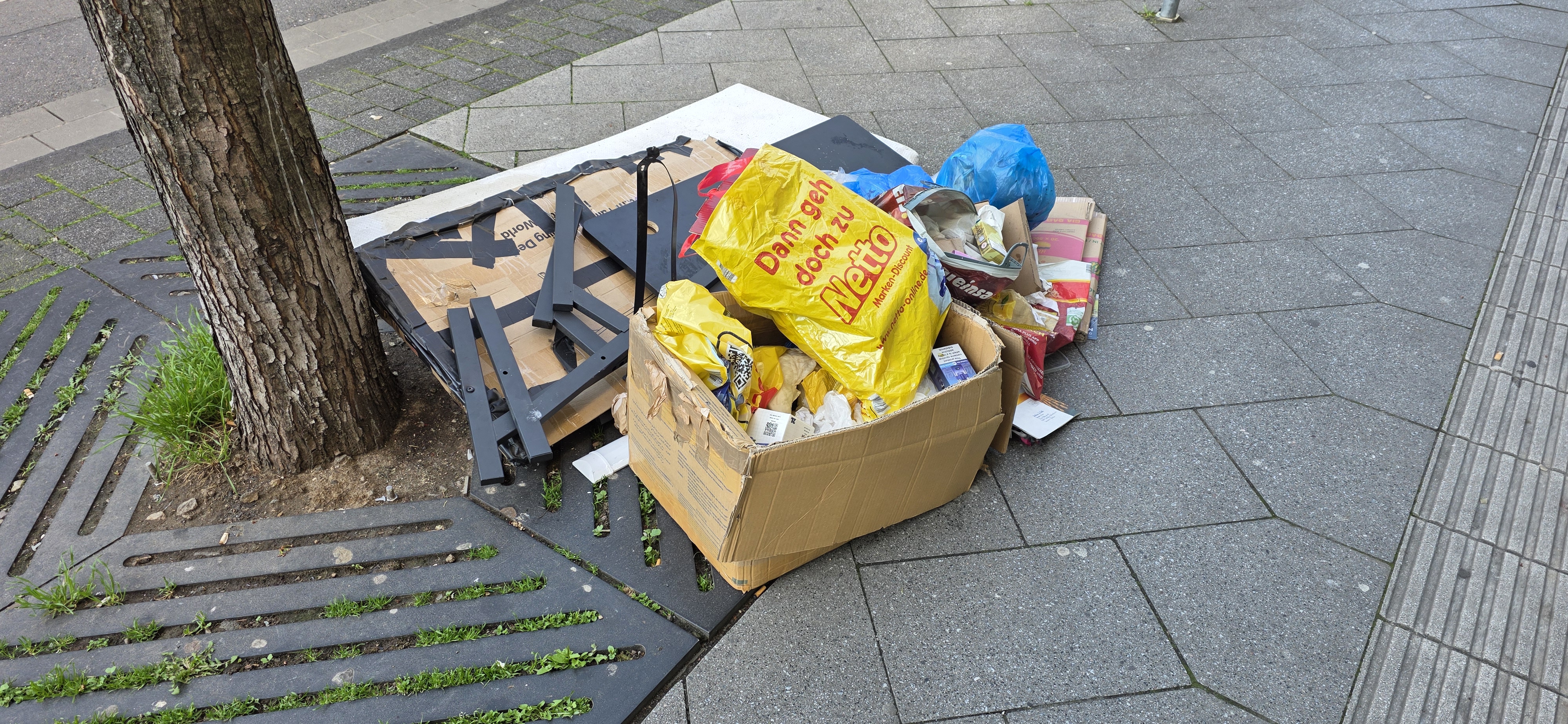 Open311 file from 2026-03-19 09:17:11