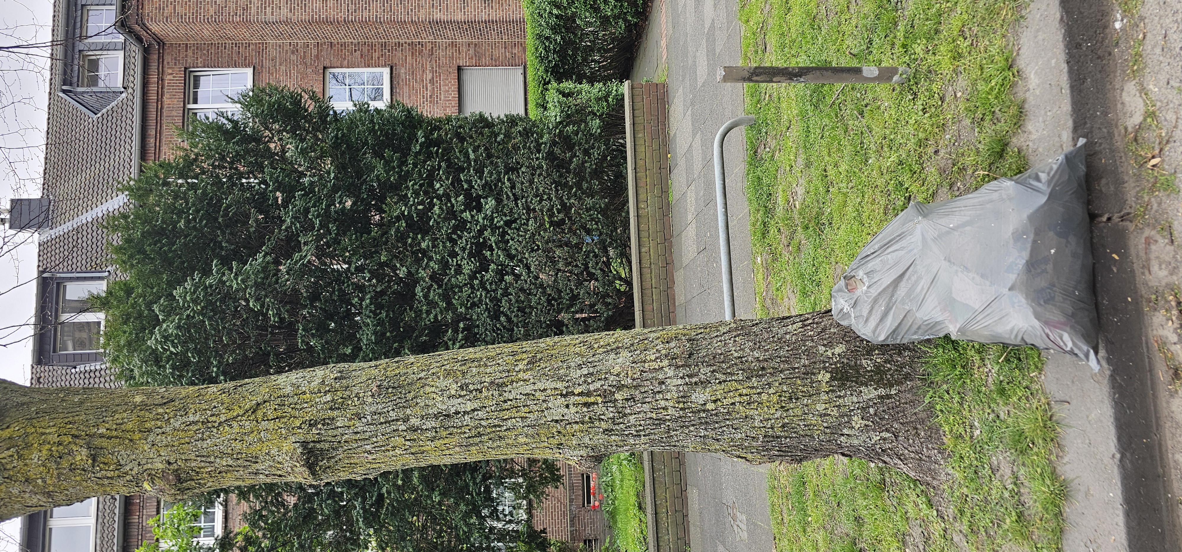 Open311 file from 2026-04-09 16:13:36