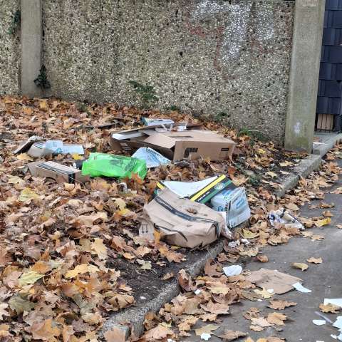 Open311 file from 2025-11-12 13:28:14