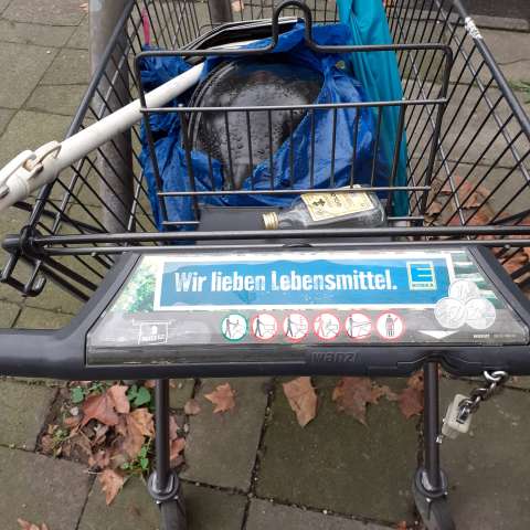 Open311 file from 2025-11-26 12:33:30