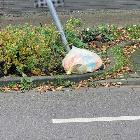 Open311 file from 2025-11-03 14:57:21