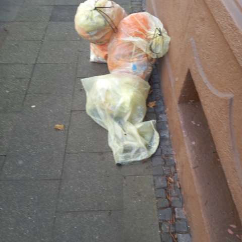 Open311 file from 2025-11-13 13:27:19