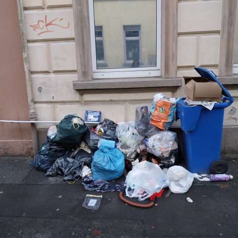 Open311 file from 2025-12-04 08:52:29