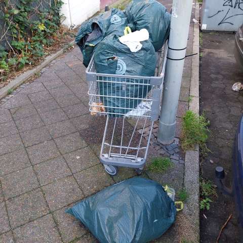 Open311 file from 2025-12-04 13:10:00