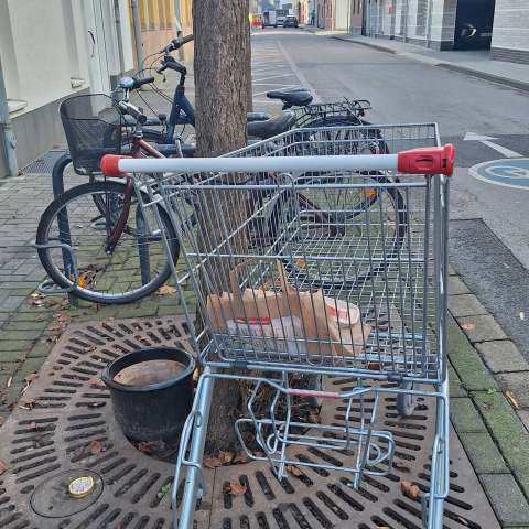 Open311 file from 2025-12-04 11:46:22