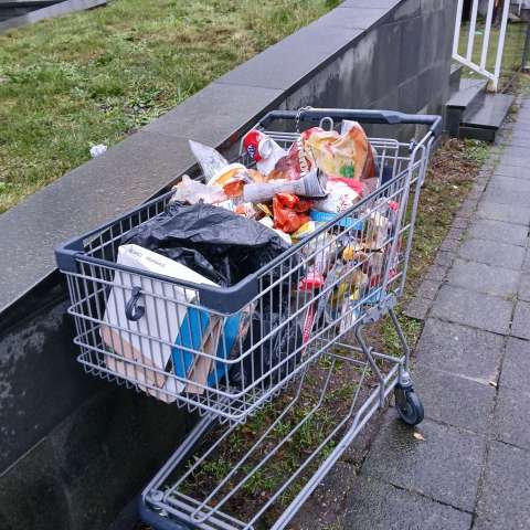 Open311 file from 2026-01-09 15:03:41