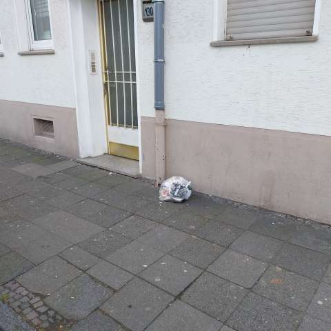 Open311 file from 2026-01-23 12:46:18