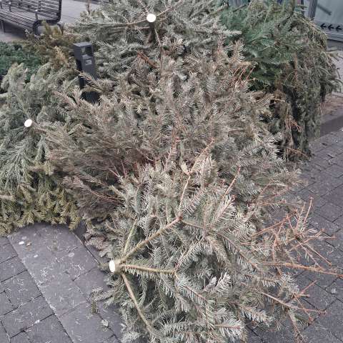 Open311 file from 2026-01-26 11:59:14