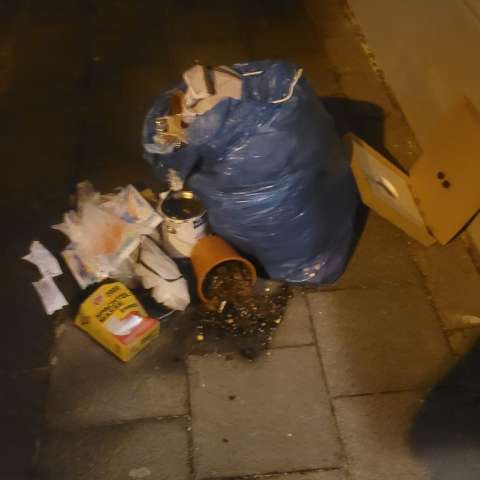 Open311 file from 2026-01-29 20:31:50