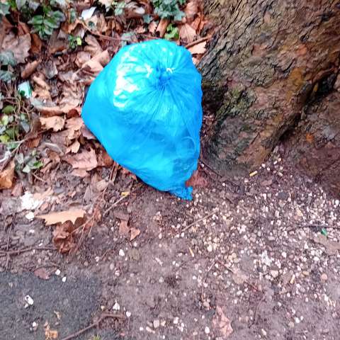 Open311 file from 2026-02-19 14:59:17