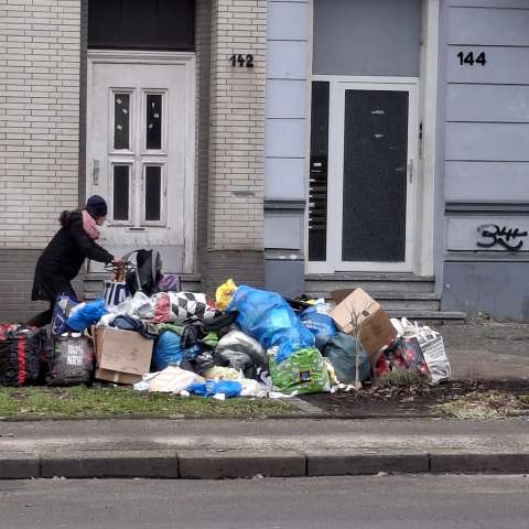 Open311 file from 2026-02-20 15:16:19