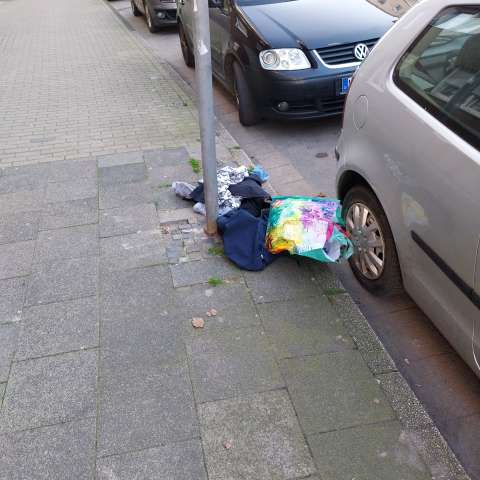 Open311 file from 2026-03-05 09:16:03