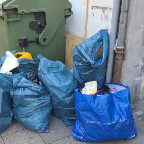 Open311 file from 2026-03-18 10:00:08