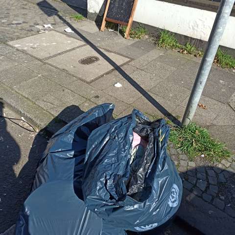 Open311 file from 2026-03-05 13:00:12