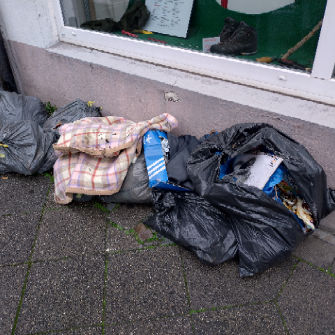 Open311 file from 2026-03-13 15:56:43