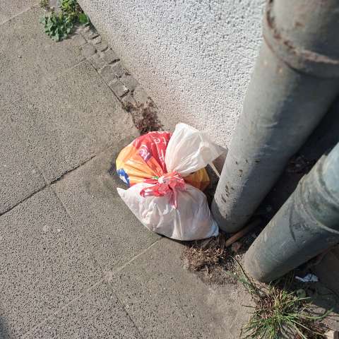 Open311 file from 2026-03-20 09:53:48