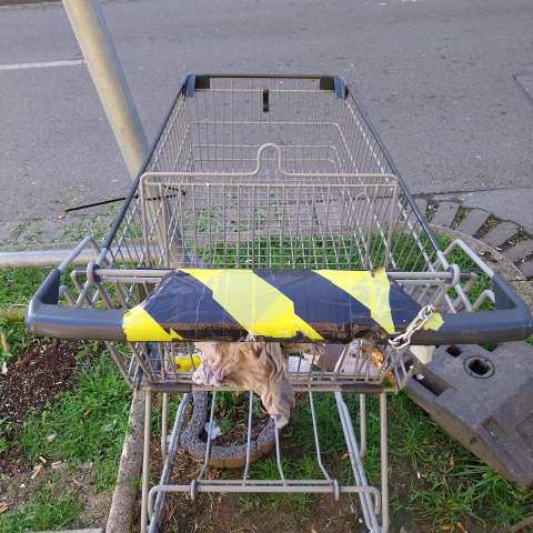 Open311 file from 2026-04-01 09:13:36