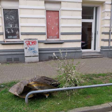 Open311 file from 2026-04-02 09:53:38