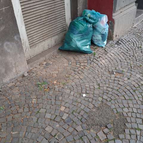 Open311 file from 2026-04-28 07:32:29