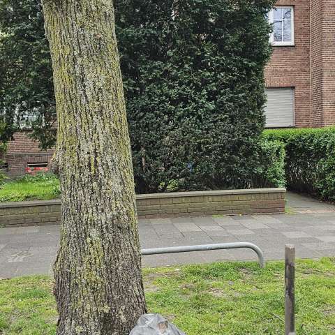 Open311 file from 2026-04-09 16:13:36