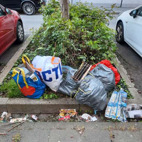 Erneute Müllansammlung vor Hausnr. 15 im Rosenbusch 
